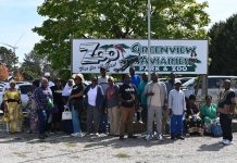 Espoir et réconfort pour les aînés