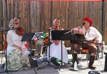 Services à la famille Windsor-Essex organise une première fête francophone